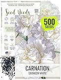 Seed Needs, Grenadin White Carnation Seeds - 500 Heirloom Seeds for Planting Dianthus caryophyllus - Annual Cut Flowers to Plant in The Garden (1 Pack)