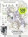 Package of 500 Seeds, Grenadin White Carnation (Dianthus caryophyllus) Non-GMO Seeds By Seed Needs