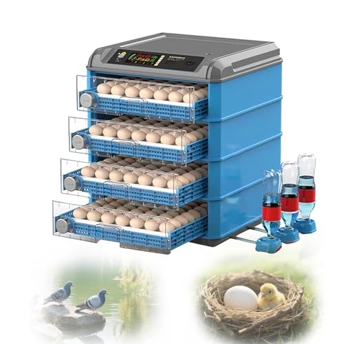 Incubateur automatique d'œufs pour réussir l'éclosion des poussins sans surveillance