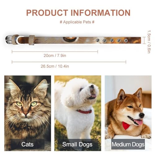 Collier réglable pour chien Corgi et chat de petite et moyenne taille