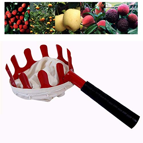 Bluelucon Fruit Picker Head Fruit Picking Tools, Deluxe Lightweight Garden Hardware Picking Tool for Picking up Apple Citrus Pear Peach