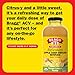 Bragg Ginger Lemon Honey Apple Cider Vinegar Refresher - (2 Pack) 16 fl oz - Raw and Unfiltered