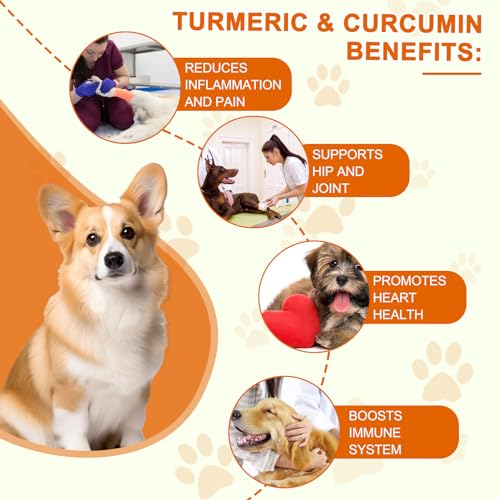 JSBNQRMZ Curcumin für Hunde 180 Tabletten - Gelenke & Verdauung, Entzündungshemmend mit Curcumin und Piperin - Hochdosiert, Natürlich ohne Chemie