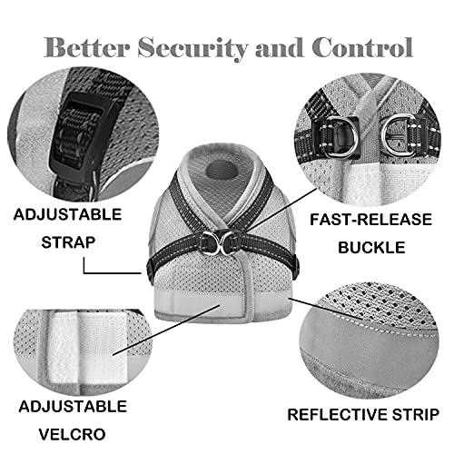 Cat Harness And Leash For Walking, Kitten Escape Proof Harnesses, Adjustable Reflective Puppy Harness With Leashes Set, Easy Adjustable Soft Net Breathable Pet Safety Vest #TOP2