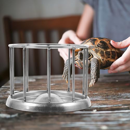 Cuenco de alimentación para reptiles sin bacterias de acero inoxidable 6
