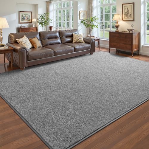Pettop 6x9 Grey Area Rugs for Living Room Bedroom, Thickened