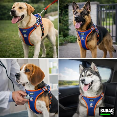 Image of Buraq Pets Premium Dog Harness with Leash | Reflective | No Pull Adjustable