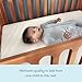 Newton Baby Galileo Mini Crib Solid Beech Wood with Wheels in Chestnut Color, Mini Crib Mattress Included, Adjustable Mattress Height, Ultra-Safe Non-Toxic Finish