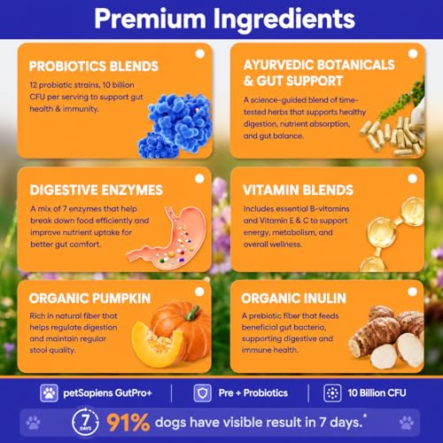 Image of PETSAPIENS Pre + Probiotic Supplement for Dogs (120g) | 10B CFU | Boosts Gut Health & Immunity | Gluten-Free | Vet Formulated | Prevents Scratching, Paw-Licking & Indigestion | Chicken Flavour