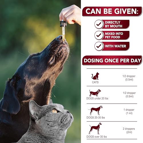 Natural Cat & Dog Intestinal Defense - Herbal Broad Spectrum Cleanser - Helps Remove Parasites & Toxins - Liquid Medication Supplement for Puppies & Kittens – UTI Support - Made in USA