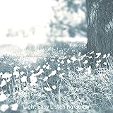 Exquisite Reflections