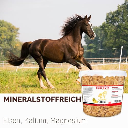 Supravit Bananenchips für Pferde – 2kg Eimer – knusprige Bananenscheiben