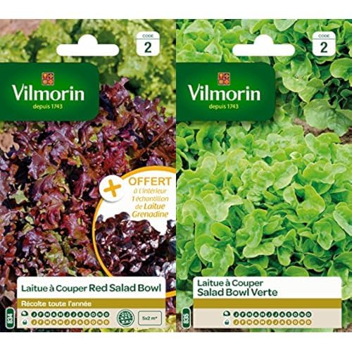 Vilmorin 3609842 Pack de Graines Laitue à Couper Salade Bol Rouge + Echantillon Laitue à Couper Grenadine + Vilmorin 3609742 Pack de Graines Laitue à Couper Salade Bol Vert