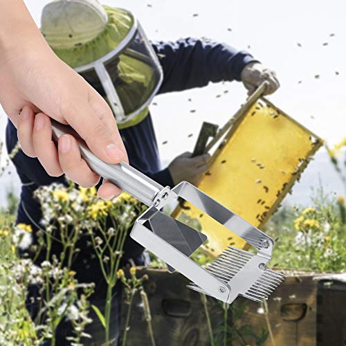 Garfo para mel, agulha dupla de aço inoxidável Colmeia Garfo destapador Raspador Pá Apicultura Ferra