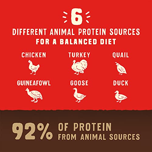 Stella & Chewy's Wild Red Dry Dog Food Raw Coated High Protein Grain & Legume Free Puppy Prairie Recipe, 21 Lb. Bag #TOP4
