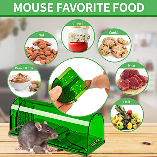 Lulucatch Mouse Traps 2 Pack, Humane Mouse Trap, Live Catch Release, Easy To Set Live Mouse Traps, Effective Reusable Rat Traps For Indoor/Outdoor Use, Kids/Pets Safe. #TOP4