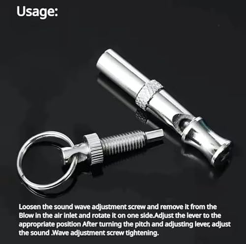 Stylish compact dog whistle on keychain