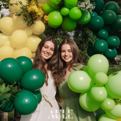 Image of AULE Dark Green Balloon Arch Kit 155Pcs Macaron Yellow Balloons