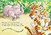 It's Bath Time - Children's Padded Board Book - Bedtime Story