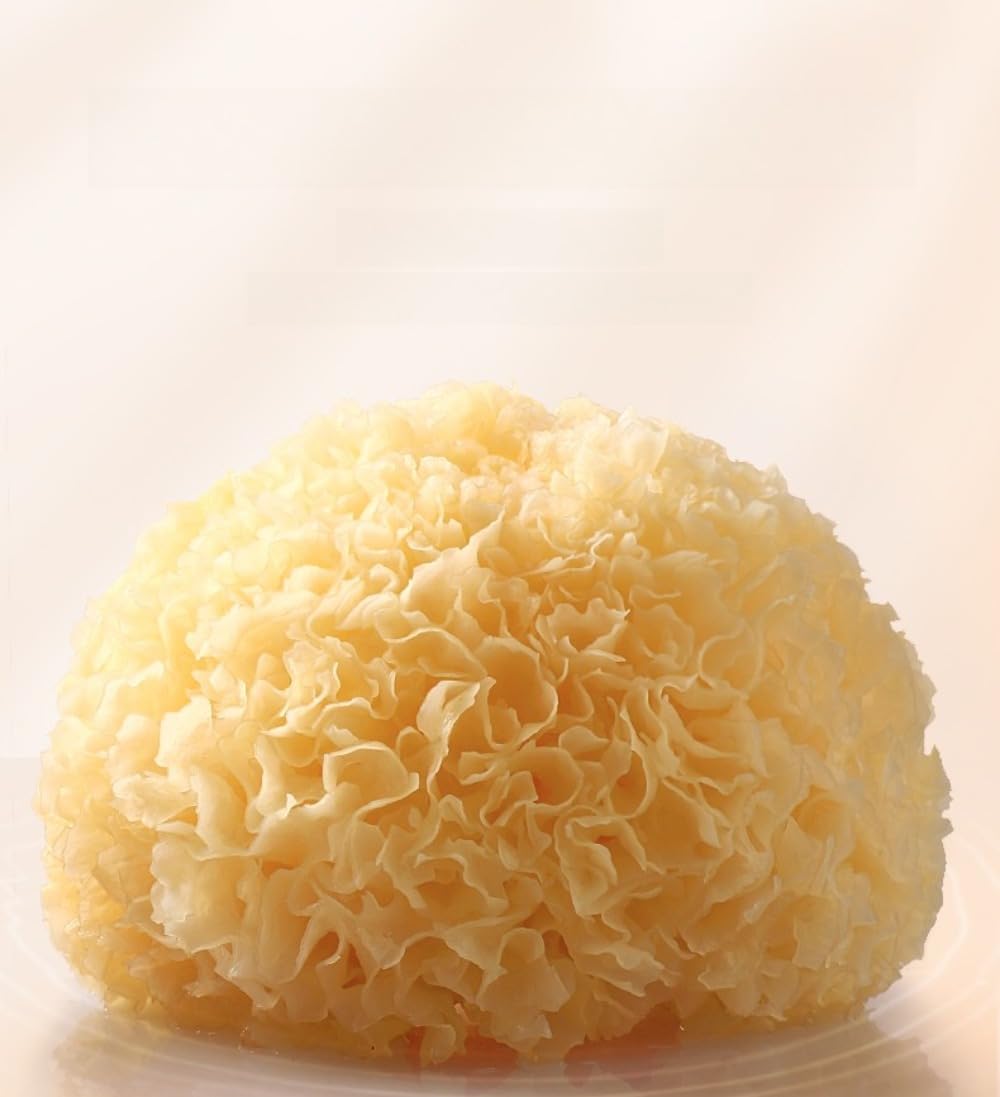 Gutian Ugly Tremella, getrockneter weißer Pilz 220g, weich & klebrig, natürlich sonnengetrocknet, Premium getrocknete Tremella, geeignet für Tremella Suppe & Desserts
