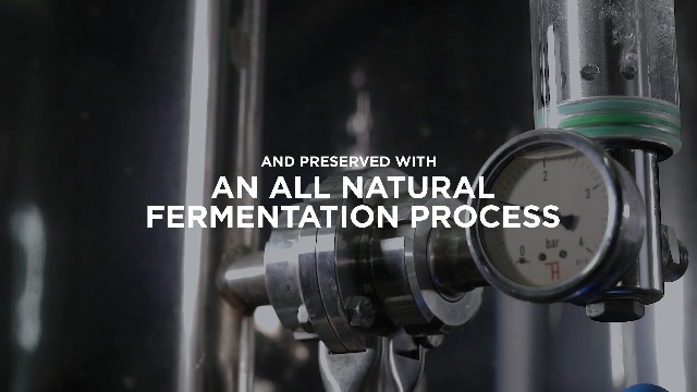 Paleovalley 100% Grass Fed Jalapeno Beef Sticks - Delicious Gluten Free Beef Snack - High Protein Keto Friendly