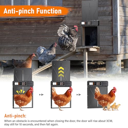 Rsaoty Automatische Hühnerklappe, Upgrade-Größe Automatische Hühnerklappe Batterie, Aluminiumlegierung Hühnertür mit Display, Intelligenter Einklemmschutz,Timer, Manuelle,für Sichere Hühnerhaltung