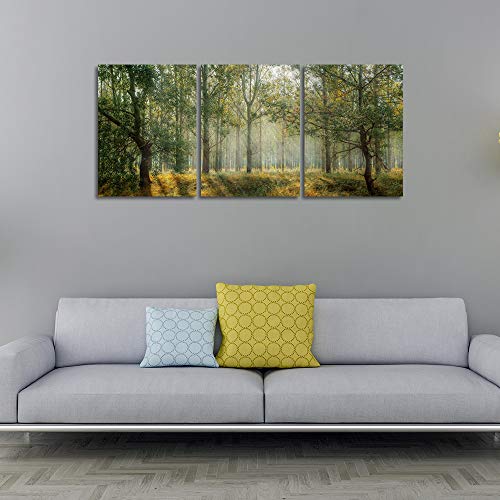Yetaryy Forest Canvas Wall Art Decor 3 Panel Green Tree Picture Print Poster Decorative Painting Wall Art For Living Room Bedroom Office Home Decor Stretched Framed Ready To Hang - 36" Wx16 H #TOP4