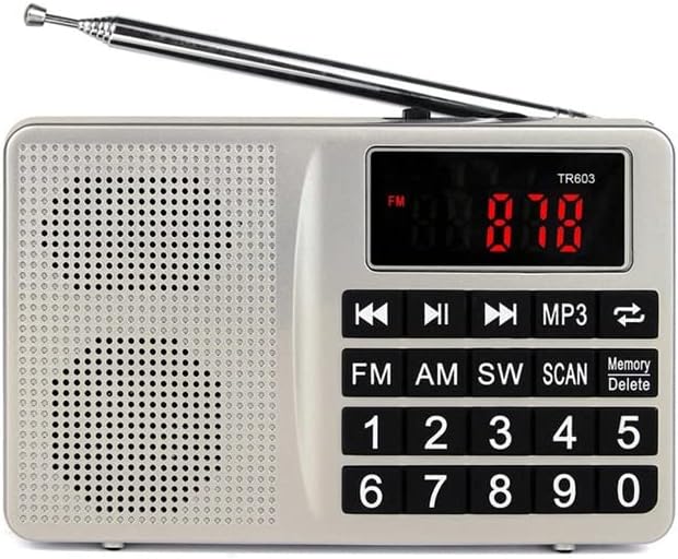 LOEVY Portable AM FM SW Radio Digital Tuning Receiver Support USB TF