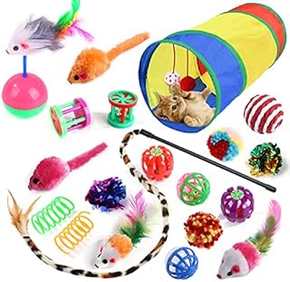 20 Pcs Cat Toys for Indoor Kitten, Collapsible Cat Tunnel for Indoor Cat, Interactive Cat Feather Wand Ball Spring Mice Toy for Cat Puppy Kitty Kitten