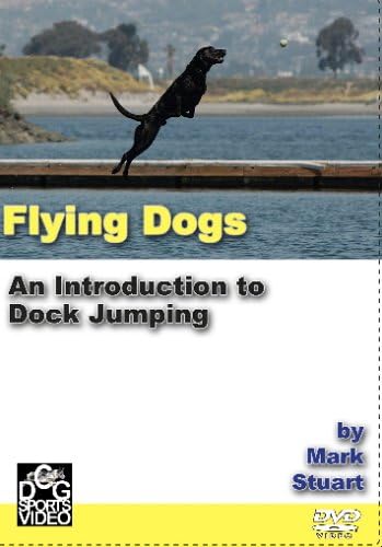 Flying Dogs - An Intro to Dock Jumping by Mark Stuart