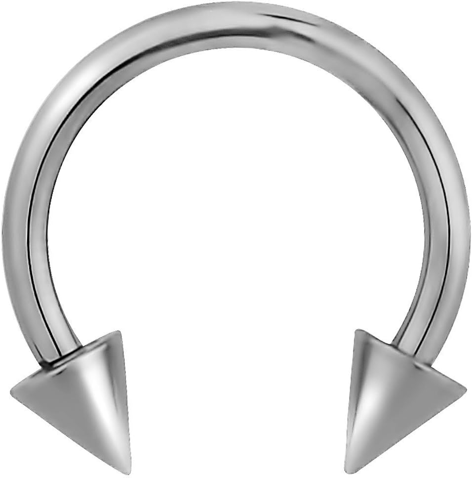 スナゴケ　10 杉苔　10 34000 スナゴケ 10 杉苔 10 34000 特別セット商品】スナゴケお庭用セット（約