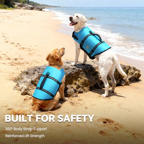 VIVAGLORY Rip Stop Schwimmweste Hund, Hundeschwimmweste, Schwimmhilfe & Auftrieb, Rettungsweste Hund für Bootfahren, XS, Blau