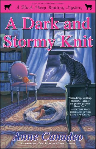 A Dark and Stormy Knit (A Black Sheep Knitting Mystery)