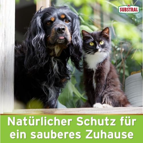 Substral Celaflor Hunde & Katzen Ex, Hund, Marder und Katze Abwehr und Vertreibungsgranulat, 200g - mit Sofortwirkung