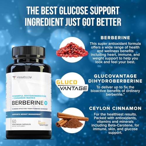 Berberine Supplement Ceylon Cinnamon Supplements Capsules | High Absorption Dihydroberberine, Cinnamon for Balance and Support | Vegan & Gluten Free Powerful AMPk Activator & Antioxidant | 30 Servings