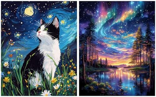 Amazon.com: obterie Starry Night Paint by Numbers Kit for Adults Beginner