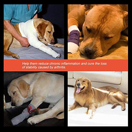 KSTE Dog Elbow Protector, Dog Knee Pads, Pet Dog Knee Protector - Image 4