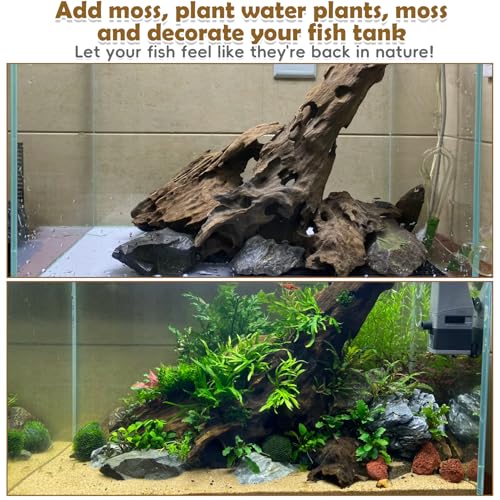 Image of PINVNBY Natural Driftwood for Aquarium Large Reptile Terrarium Decor Decorations Assorted Branches Dearded Dragon Tank Accessories (Slim Style: 7.87-11.8 inches /3 Pack)