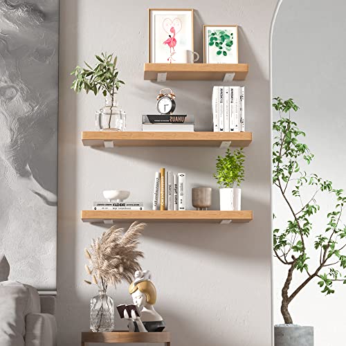 Mejores comprativas On-line Mensulas ocultas disponible en línea para comprar. 15 Mejores comprativas On-line Mensulas ocultas disponible en línea para comprar. 15