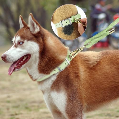 Wisedog Rope Dog Leash, 5FT, Sage Green — view 5
