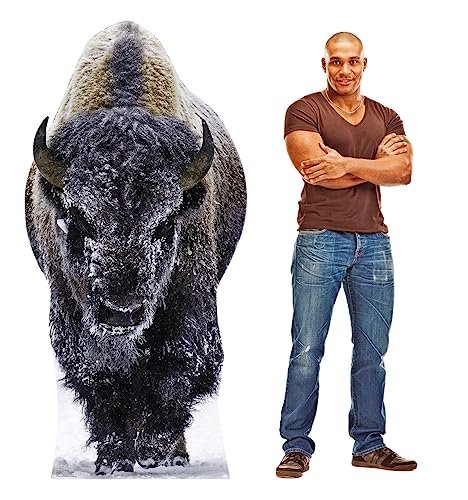 Image of Cardboard People Yellowstone Bison Life Size Cardboard Cutout Standup - Made in USA