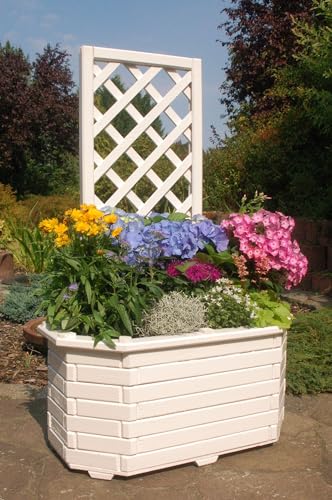 Blumenkasten mit Rankgitter aus Holz für den Garten