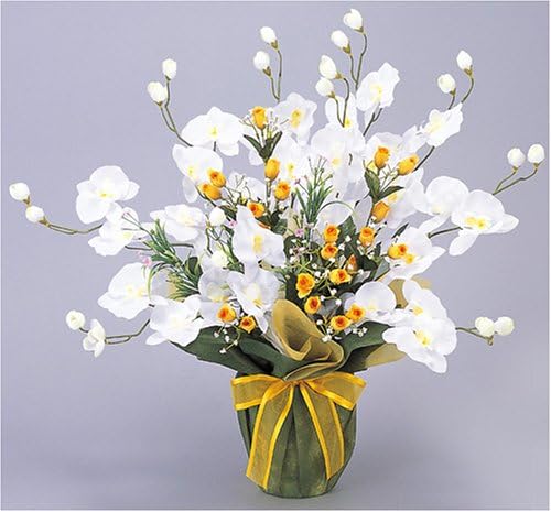 Paradise of Light, Photocatalyst Deodorizing Green (Flower Series) White Phaleno