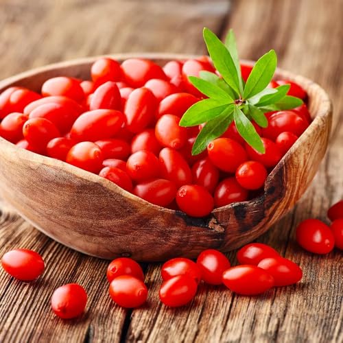 2 Goji Berry Plants Live, 12-15 Inch Tall, Red Goji Berry Bush Live Shrub to Grow Indoor Outdoor Home Garden