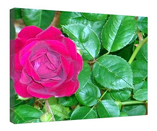 Toile rose fleurie haut de gamme avec châssis en bois naturel 40x50 cm