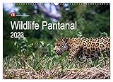 Wildlife Pantanal 2023 (Wandkalender 2023 DIN A3 quer), Calvendo Monatskalender