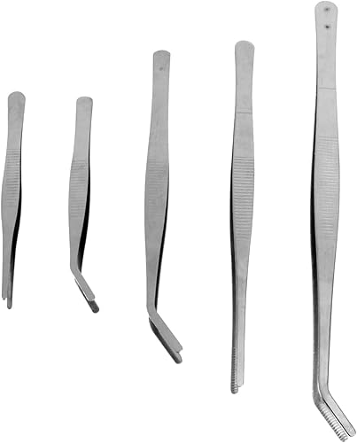 NOLITOY Pinzas de jardinería profesionales, pinzas de precisión, pinzas de joyería, pinzas de acero inoxidable, herramienta de jardinería suculenta,