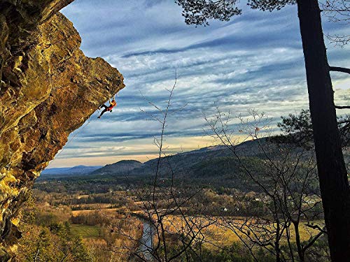 image for SKRATCH LABS Sport Hydration Drink Mix, Variety Pack (4 of each flavor