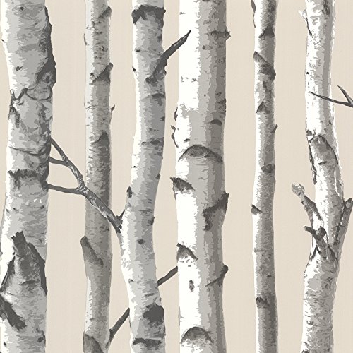 Chesapeake TLL21499 Tuxbury Birch Tree Wallpaper, Beige