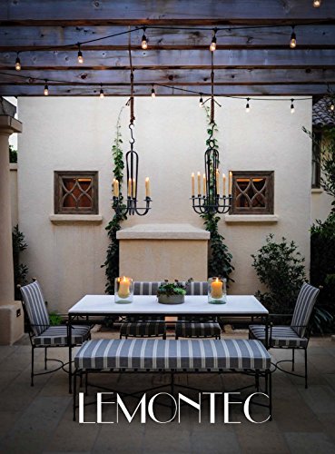 Lemontec Commercial Grade Outdoor String Lights With 15 Hanging Sockets - 48 Ft Black Weatherproof Cord Weatherproof Strand For Patio Garden Porch Backyard Party Deck Yard – S14 Black #TOP6
